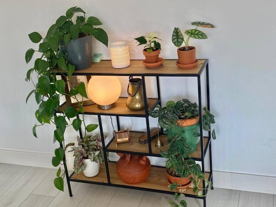 Soleado Apartamento Con Garaje Santander Ngoại thất bức ảnh
